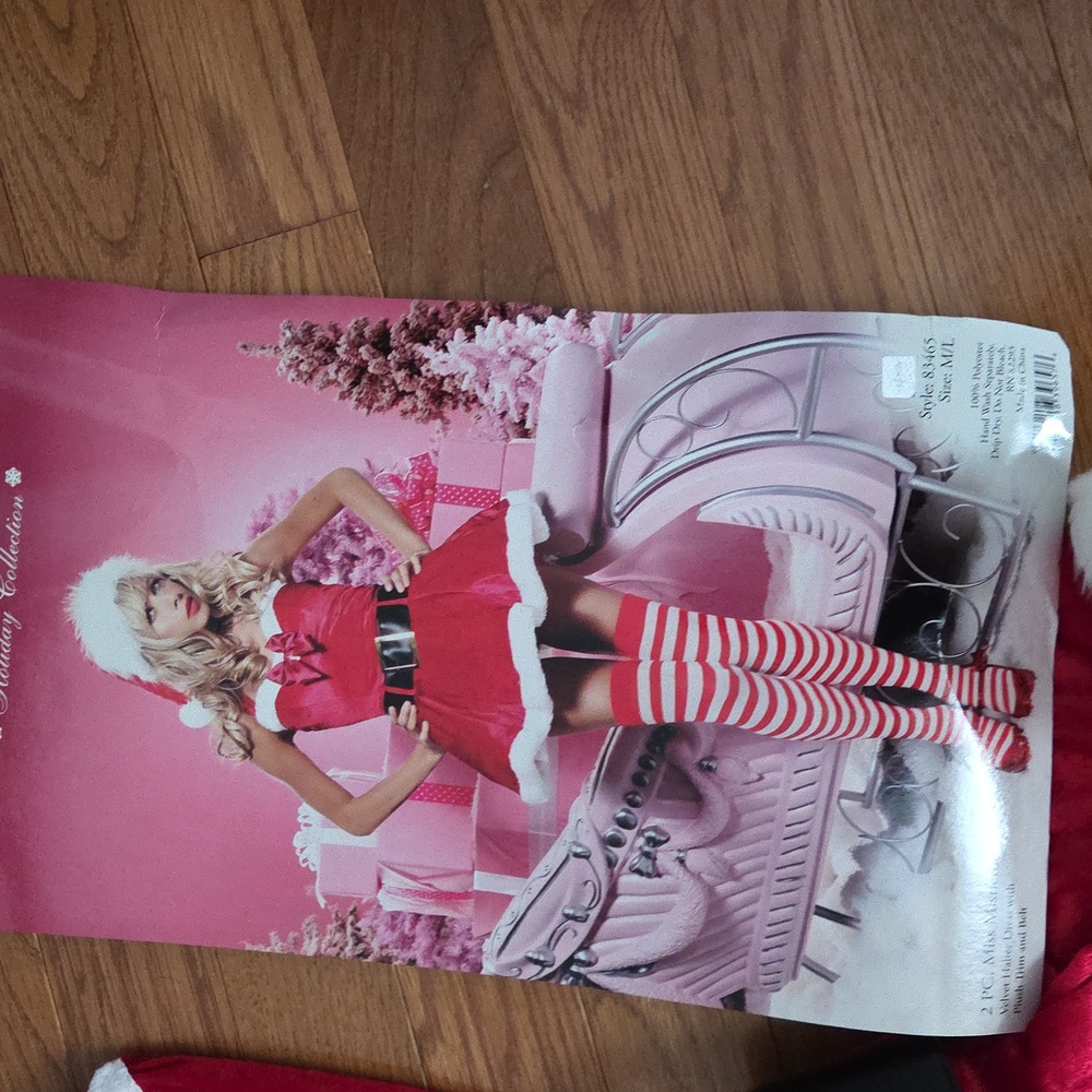 Leg Avenue Red and White Holiday Costume